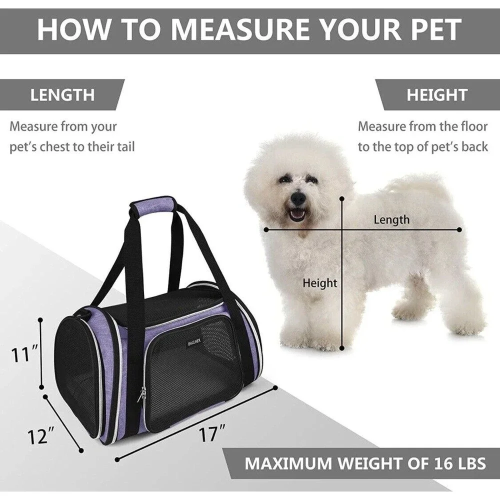 BAGLHER Pet Travel Carrier, for Small/Medium Cat or Dog. Only used once.